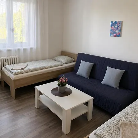 Zarohem 2 Bedrooms In Center With Balcony Appartement Brno